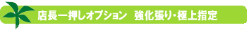 �X���ꉟ���I�v�V�����@��������E�ɏ�w��