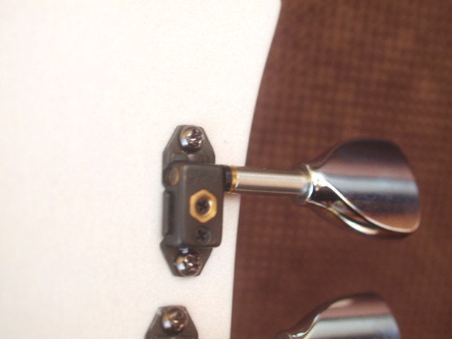 三線　トロピケーション Tropication 三線 販売｜沖縄の三線専門店【ASOVIVA】