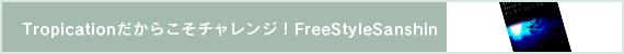 FreeStyleSanshin PLAYGUIDE